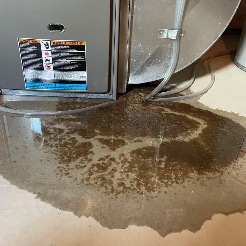 Appliance Leak Cleanup in Rowland, NC